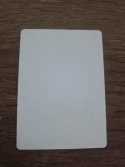 Jwari Shapeshifter Artist Proof SIGNED By Kev Walker Mtg Magic The Gathering - Image 2