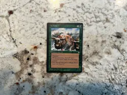 Miscut Magic the Gathering Card Aurochs - Miscut Mtg Ice Age Card - Image 1