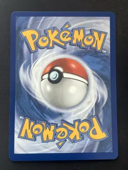 Rowlet, Litten & Popplio First Partner Illustration Collection Promo Set Pokemon - Image 3