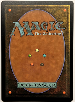 MTG Knight Paladin | Universes Beyond: Warhammer 40,000 Regular NM - Image 2