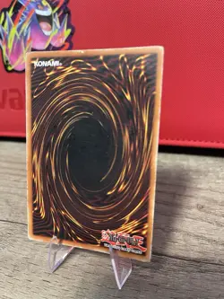 Yu-Gi-Oh! Dark Magician Girl MFC-000 Magician's Force Secret Rare Holo - Image 5