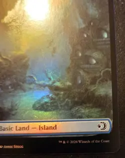 Island (Full Art) 0275 Foil Land Lorwyn Eclipsed Magic: The Gathering - Image 5