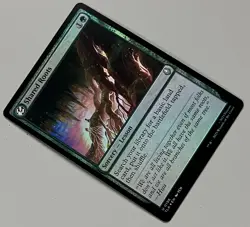 MTG Avatar: TLA Shared Roots Sorcery - Lesson UNCOMMON FOIL #0196 - Image 2