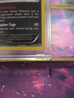 Pokemon Absol Promo Holo XY178 XY Basic 100HP Shadow Cage Pokemon TCG Card - Image 2