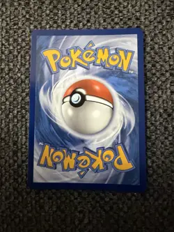 N's Zorua - Promo SV: Scarlet & Violet Promo Card 189 - Image 2