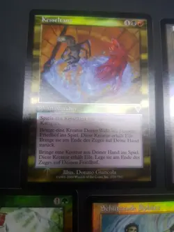 FOIL Invasion Karten Sammlung, Premodern Oldboarder Magic Mtg Cards Collection - Image 2