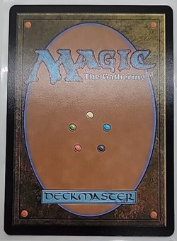 MTG Priest of Fell Rites Modern Horizons 2 208/303 Regular Rare - Image 2