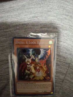 DROLL & LOCK BIRD 1ST EDITION SECRET RARE RA02-EN006 Yu-Gi-Oh! M-NM! - Image 1