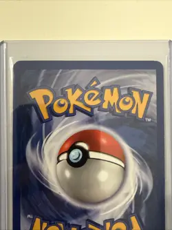 Pokemon TCG - Dark Wartortle - Team Rocket - 46/82 - WOTC - Vintage - Image 4