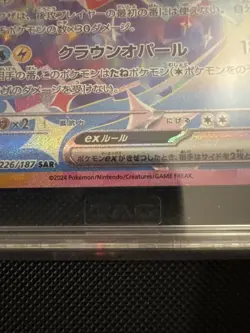 Pokemon TCG Terapagos EX Terastal Fest 226/187 TAG 10 SAR Holo Full Art Japanese - Image 5