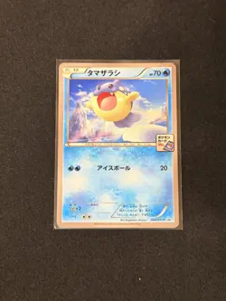 Pokemon TCG Spheal 040/XY-P Promo Gym Japanese NM - Image 1