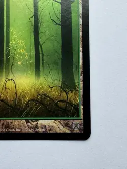 MTG Unhinged Forest - FOIL - - Image 5