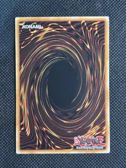 YuGiOh! - Cyber Harpie Lady LDS2-EN067 Common 1st Edition Near Mint - Image 2