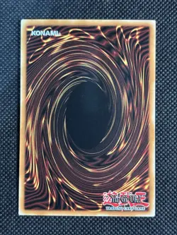 YuGiOh! - Harpie Conductor LDS2-EN078 Common 1st Edition Near Mint - Image 2