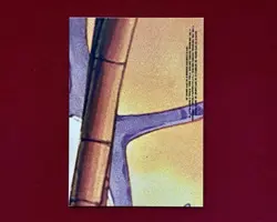 Sitting Pikachu - Sticker Card - Topps Black Logo- Pokemon The First Movie NM - Image 2