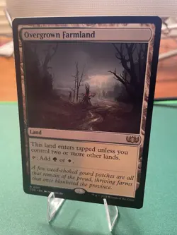 2025 MTG - Overgrown Farmland - TDC 0381 - Tarkir: Dragonstorm - Magic - Rare - Image 3
