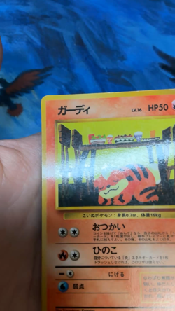 Growlithe No. 058 Japanese Vending Series Komiya Pokemon #2692 - Image 2