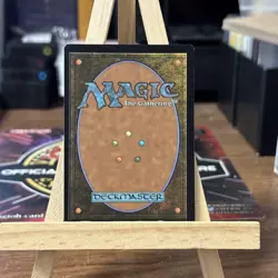 MTG *Adarkar Waste Borderless Foil X1* (NM) Dominaria United Magic - Image 2