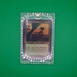 MTG English Windswept Heath Foil Onslaught - Image 3