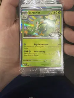 Perfect Order Prerelease Staff Promo 4 cards Sealed!!! - Image 1