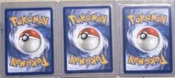Pokemon First Partner Illustration Set Sinnoh Turtwig Chimchar Piplup - Image 2