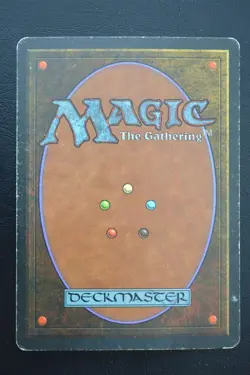 Magic The Gathering MTG NORTHERN PALADIN Revised Edition HP Heavily Played - Image 2