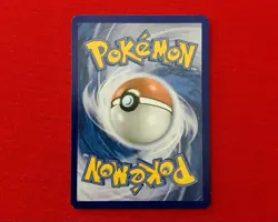 Teddiursa RC15 B&W Legendary Treasures Radiant Collection Holo Pokemon Card NM - Image 2