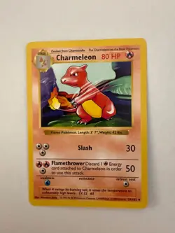 Pokemon Charmeleon 24/102 - Base Set SHADOWLESS - 1999 WOTC Vintage - NM - Image 1