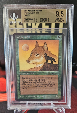 Arabian Nights - Wyluli Wolf - Dark - MTG - BGS 9.5 - Gem Mint B - Image 1