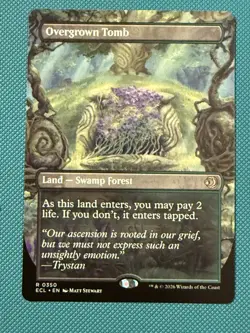 Mtg ECL Lorwyn — Borderless — Overgrown Tomb — NM - Image 1