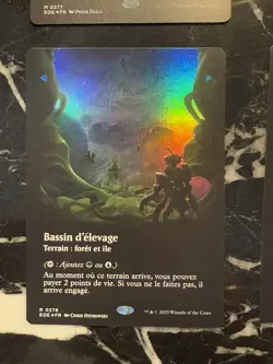 MTG EOE Poster Viewport Land — Breeding Pool FOIL FR — NM French - Image 1