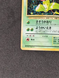 Victreebel Holo No 071 Half SWIRL Jungle Set 1998 Pokemon Card Japanese MP - Image 5
