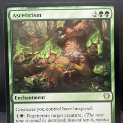 MTG Magic: The Lord of the Rings: Asceticism #0233 Rare - NM - Image 1