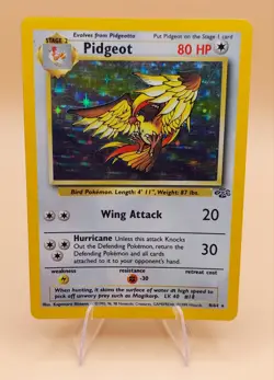 Pidgeot Holo Rare Jungle 8/64 Pokemon Card - WOTC 1999 B - Image 1