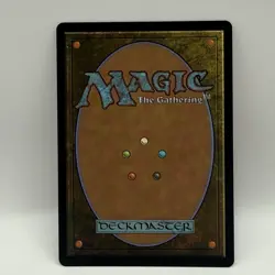 MTG Sunspine Lynx 0292 Borderless Extended Full Art Bloomburrow - Image 5