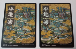 MTG 2 copies of NEO Plains 294 Japanese Full Art - Image 1