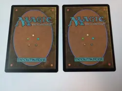 MTG 2 copies of NEO Plains 294 Japanese Full Art - Image 2