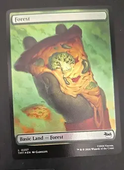 MTG Teenage Mutant Ninja Turtles Full Art Lands Foil #253-257 Near Mint - Image 4