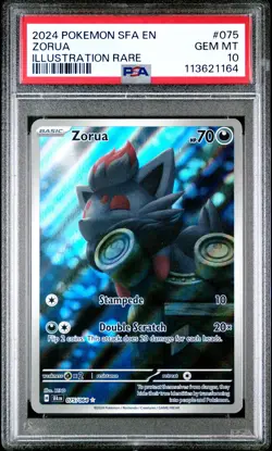 2024 POKEMON SFA EN-SHROUDED FABLE ILLUSTRATION RARE #075 ZORUA PSA 10 - Image 1