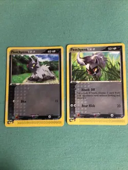 POOCHYENA 63/109 And 64/109 EX Ruby & Sapphire Pokemon Both Cards Are New - Image 5