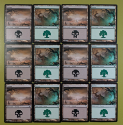 12 MURAL LAND Shadowmoor Swamp #293 and Forest #300 6 of Each Art MTG - Image 1