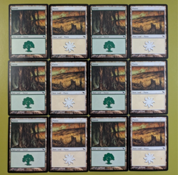 12 MURAL LAND Shadowmoor Forest #298 and Plains #285 6 of Each Art MTG - Image 1