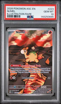 2026 POKEMON ASC EN-ASCENDED HEROES ILLUSTRATION RARE #223 NUMEL PSA 10 - Image 1
