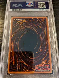 PSA 8 Yu-Gi-Oh! TCG SDK-001 Blue-Eyes White Dragon - NM / Mint - Image 2