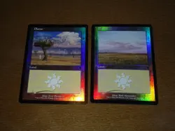 FOIL Lands lot Odyssey English x10 mtg SP,MP [FC] B - Image 2