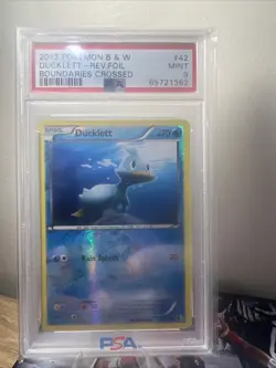 Ducklett Pokemon Black & White Boundaries Crossed #42 PSA 9! Only PSA 9!!🔥🔥 - Image 1