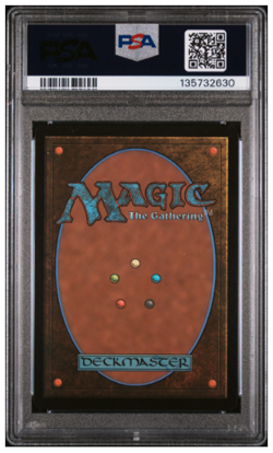 2025 MTG MAR EN Ponder (Borderless) #13 PSA 10 GEM MINT - Image 2