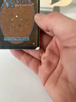 Island of Wak-Wak Arabian Nights (Please See Pics) Magic The Gathering MTG - Image 4