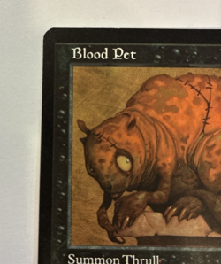 Blood Pet - LP - Tempest Magic the Gathering TMP #109 1997 - Image 5