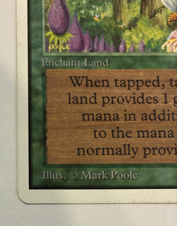 Wild Growth Unlimited Edition (2ED) Magic the Gathering 1993 common MP - Image 2